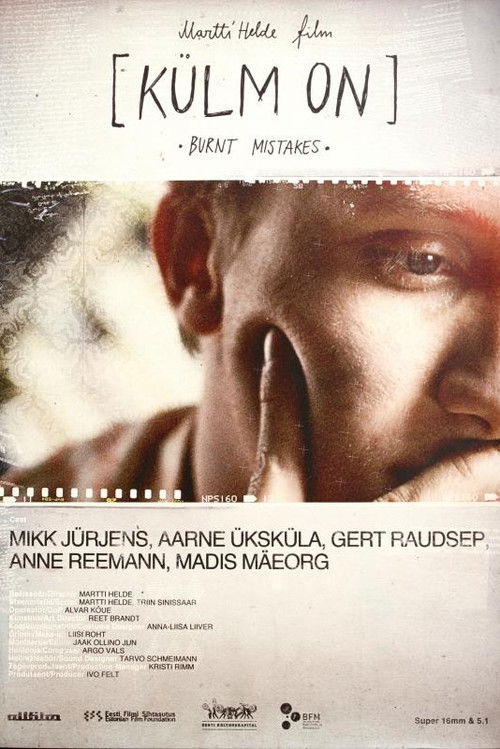 Burnt Mistakes (2010) poster