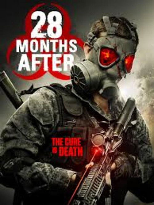 28 Months After (2010) poster