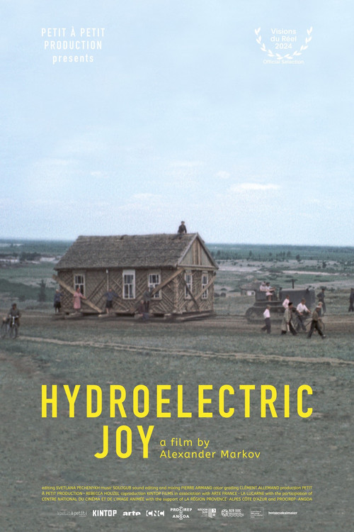 Hydroelectric Joy (2024) poster