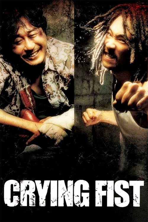주먹이 운다 (2005) poster