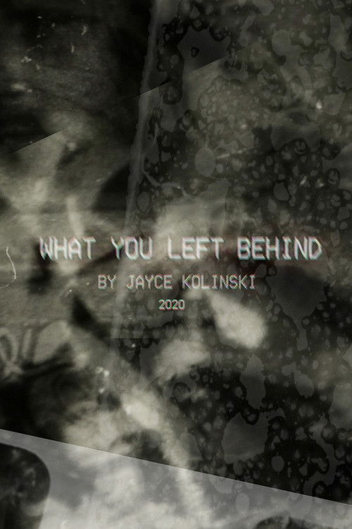 What You Left Behind (2020) poster