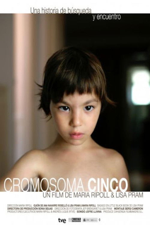 Cromosoma Cinco (2013) poster