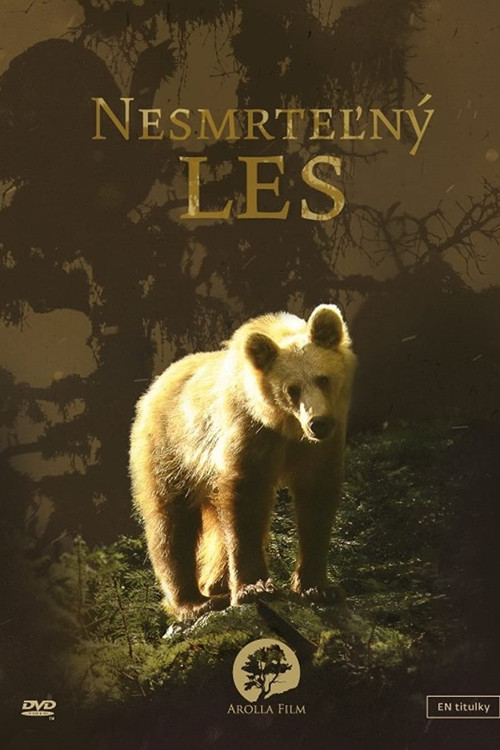 Secrets of the Carpathians: The Immortal Forest (2017) poster