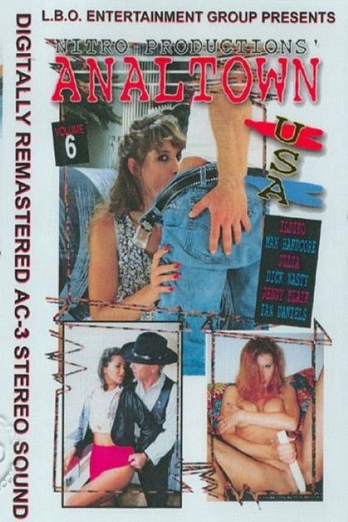 Analtown USA 6 (1995) poster