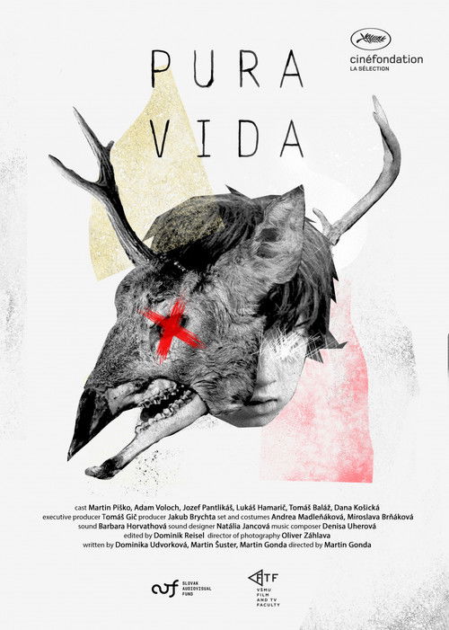 Pura Vida (2019) poster
