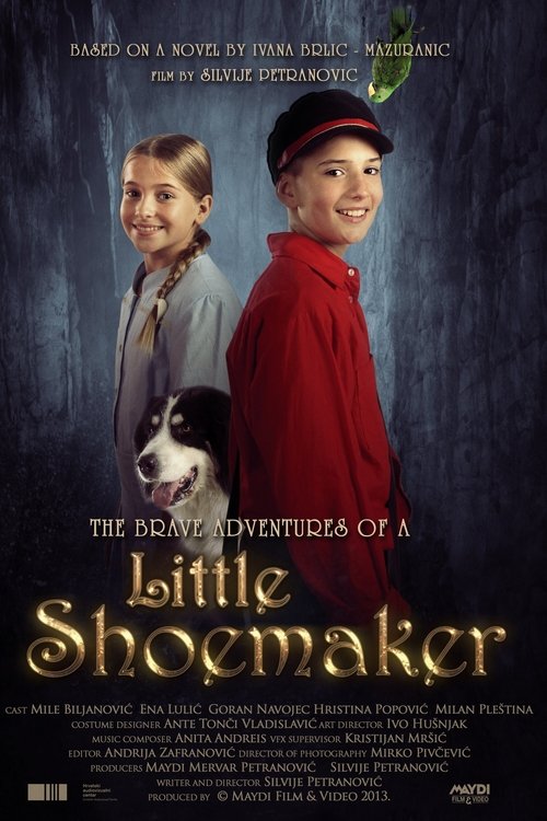 The Brave Adventures of a Little Shoemaker (2013) poster