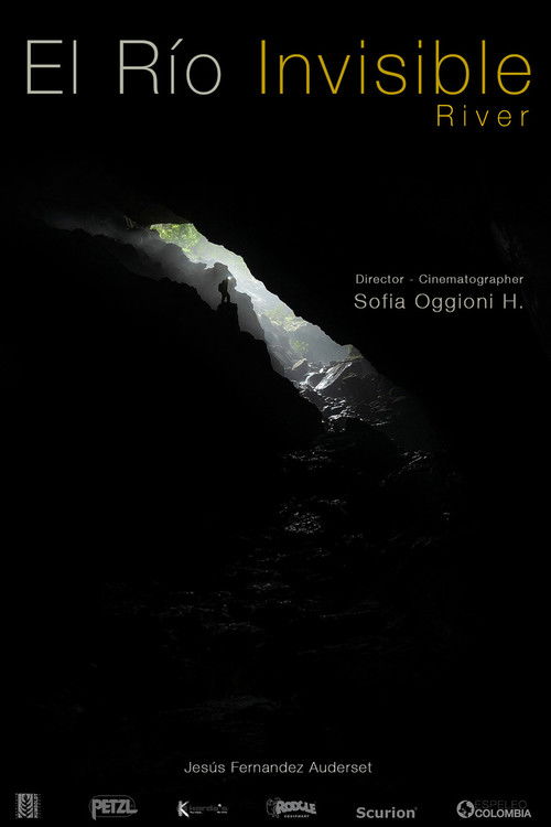 Invisible River (2020) poster