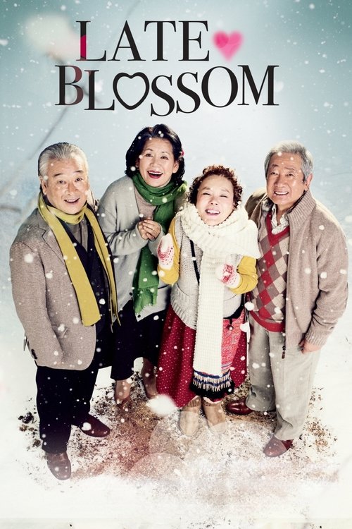 Late Blossom (2011) poster