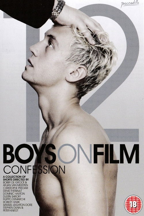 Boys on Film 12: Confession (2014) poster