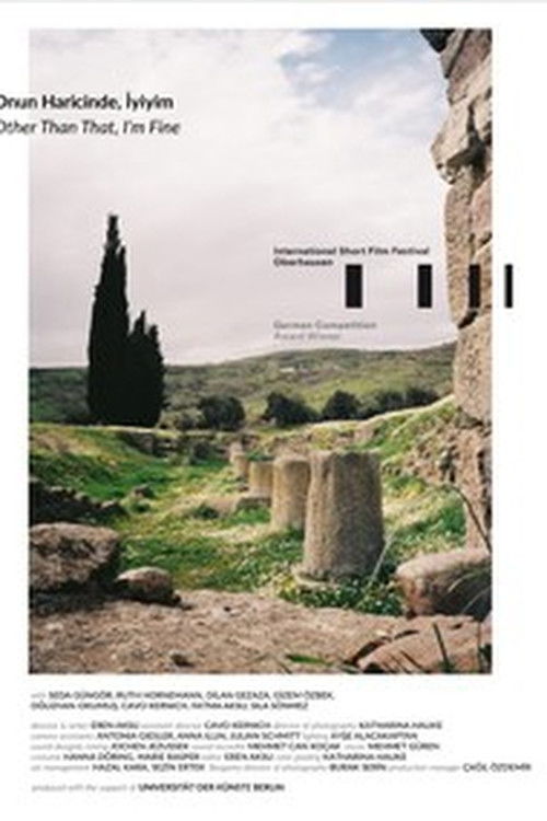 Other Than That, I'm Fine (2020) poster