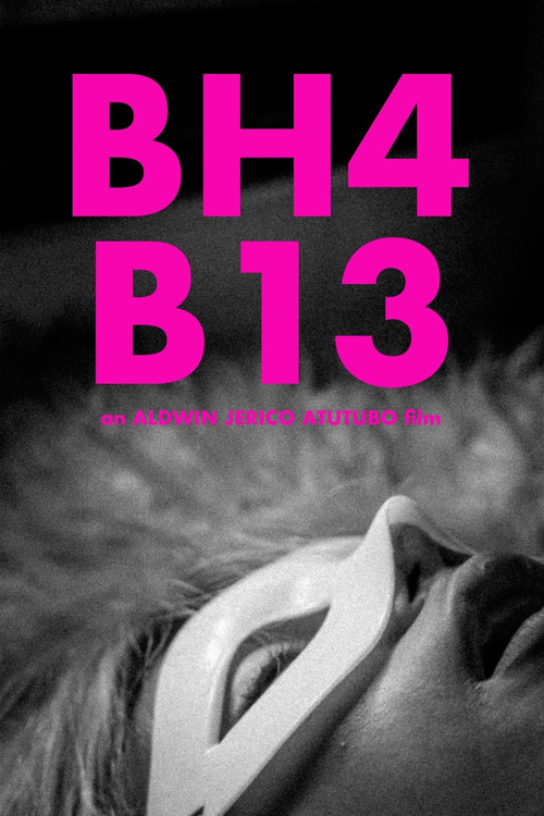 BH4B13 (2022) poster