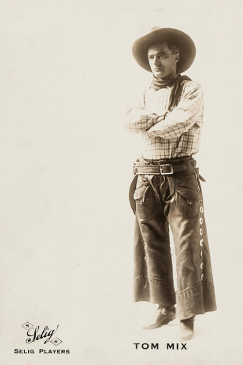 Local Color on the A-1 Ranch (1916) poster