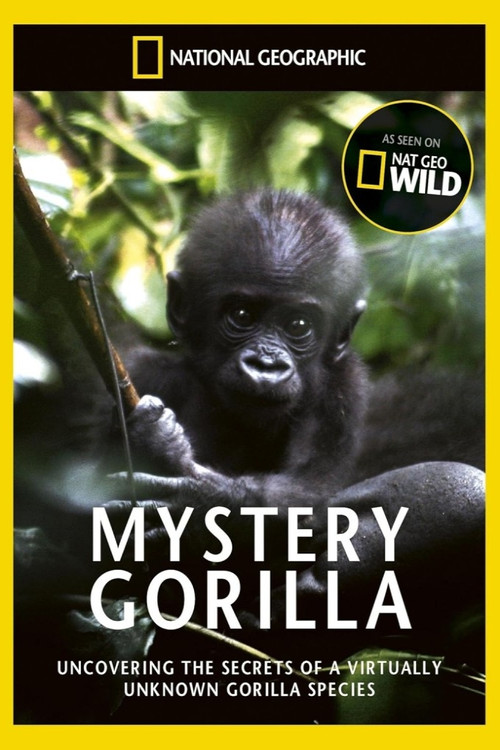 Mystery Gorillas (2010) poster