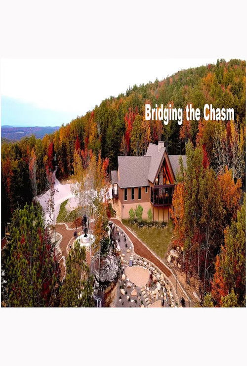 Bridging the Chasm (2022) poster
