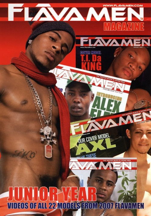 FlavaMen Junior Year (2008) poster