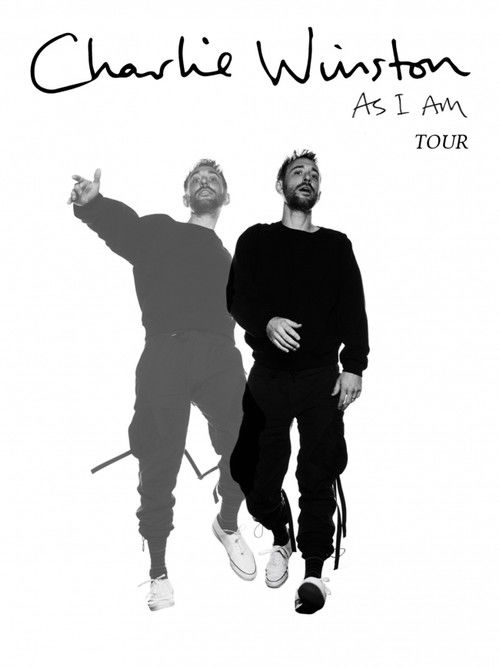 Charlie Winston Meisenthal's Halle Verrière (2023) poster