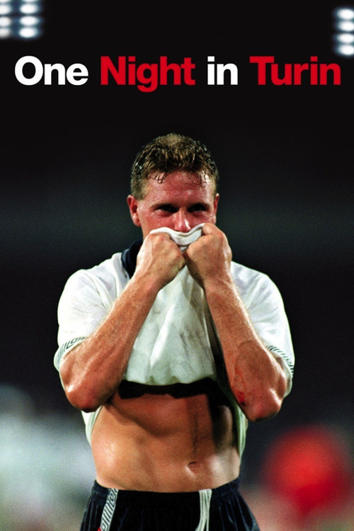 One Night in Turin (2010) poster