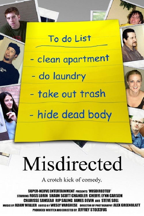 Misdirected (2004) poster
