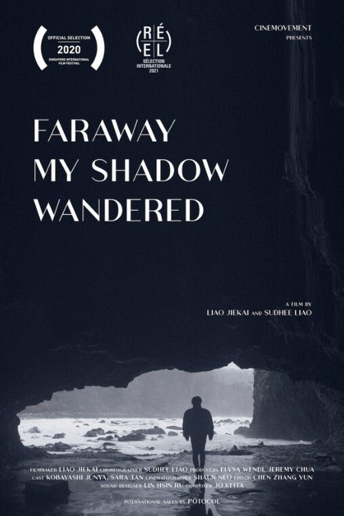 Faraway My Shadow Wandered (2020) poster