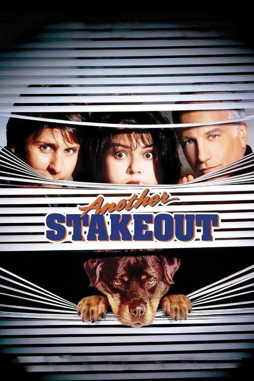 Another Stakeout (1993) poster