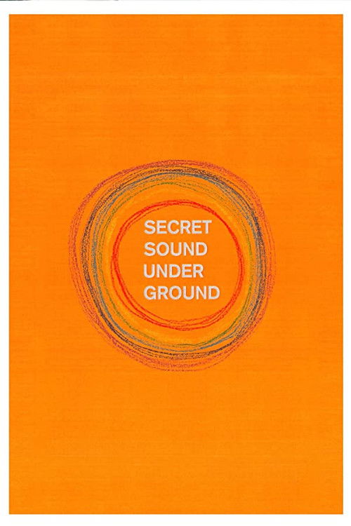 Secret Sound from Underground (2013) poster
