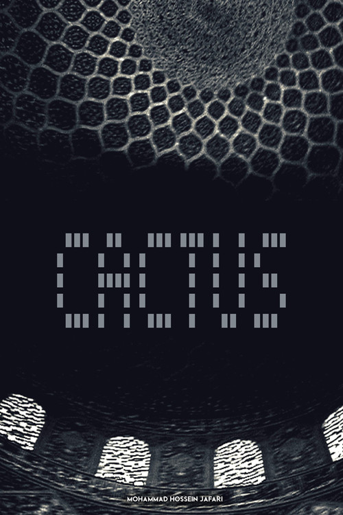 Cactus (2010) poster