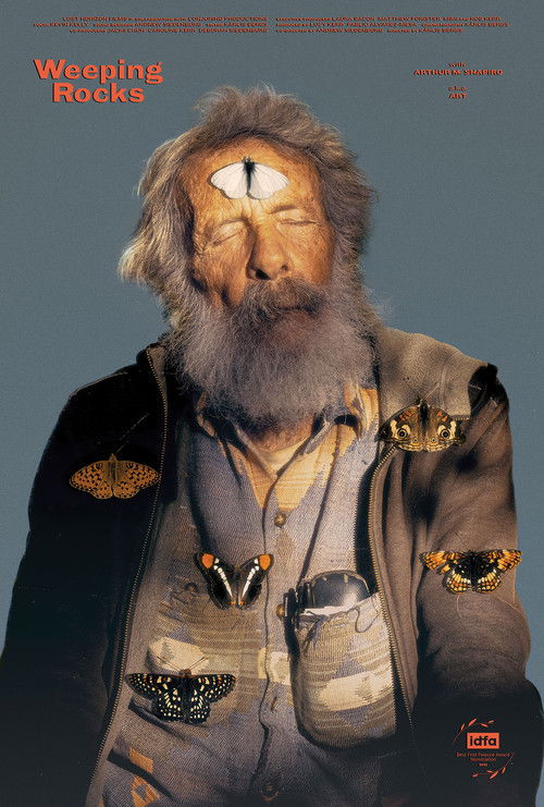 Weeping Rocks (2025) poster