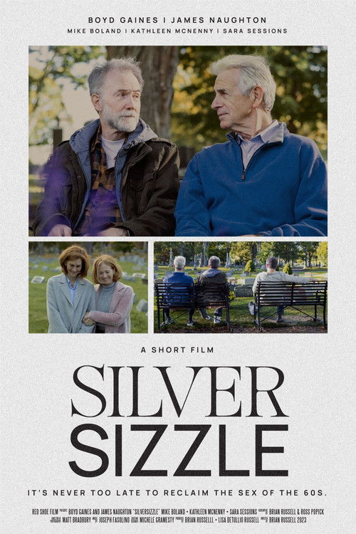 SilverSizzle (2024) poster