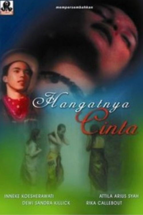 Hangatnya Cinta (1995) poster