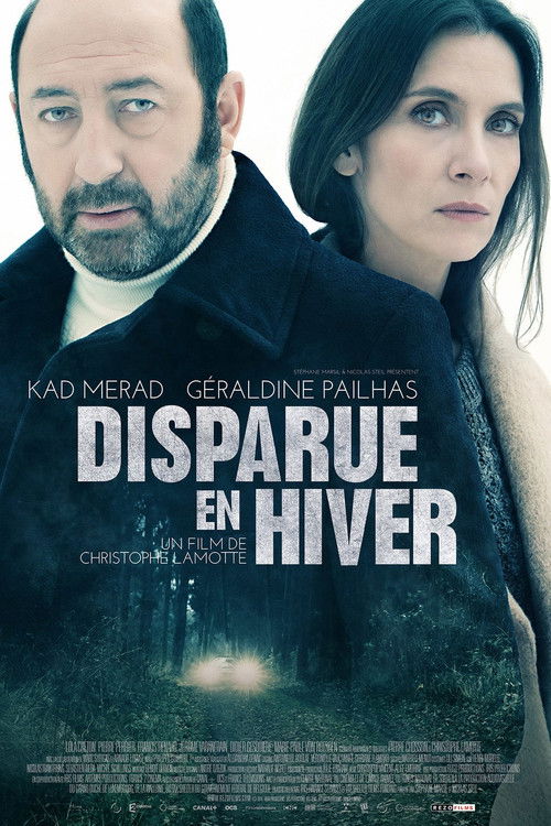 Disparue en hiver (2015) poster