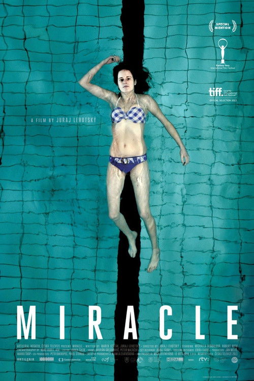 Miracle (2013) poster