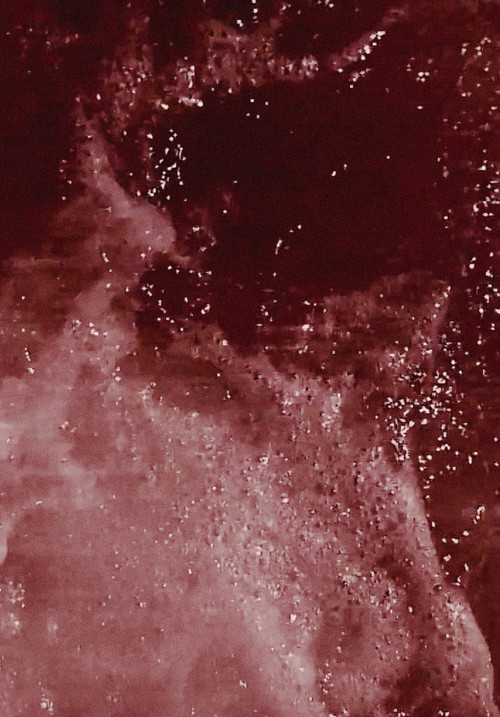 Maré Terra (2016) poster