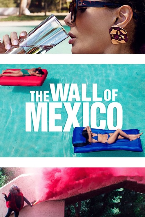 The Wall of Mexico (2020) poster