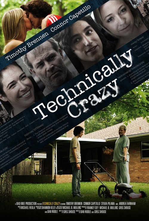 Technically Crazy (2012) poster