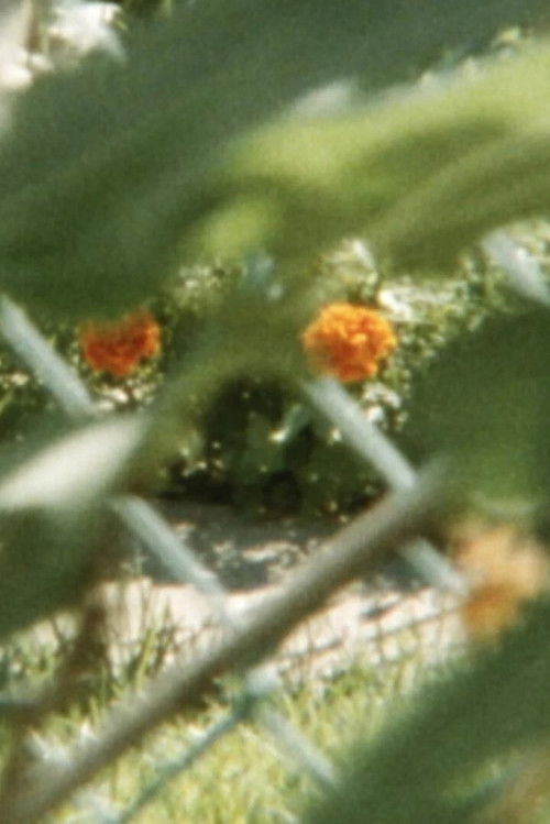 Lines to color within (2019) poster