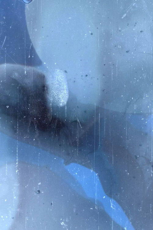 Closing on Unrest (2020) poster