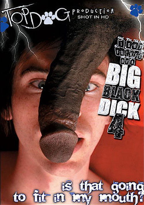 I Got Fucked by a Big Black Dick 4 (2009) poster
