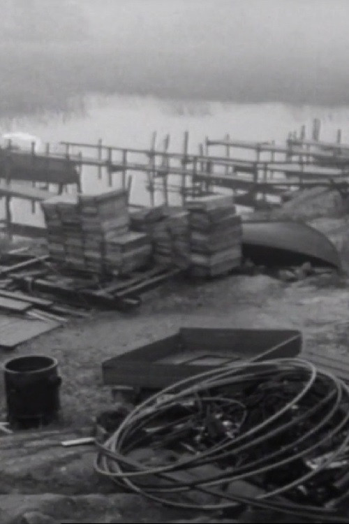 Förvandla Sverige (1974) poster