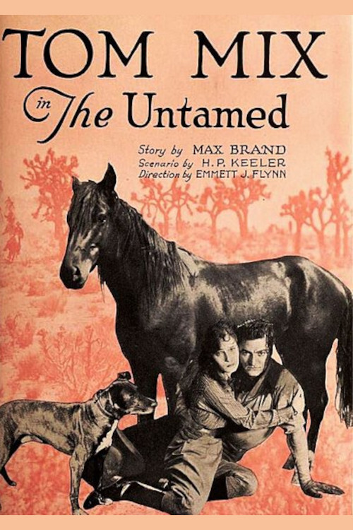 The Untamed (1920) poster