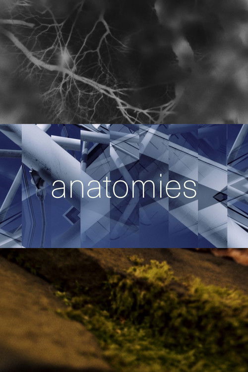 anatomies (2021) poster