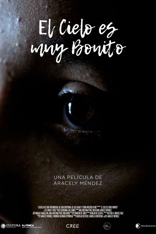 El cielo es muy bonito (2022) poster