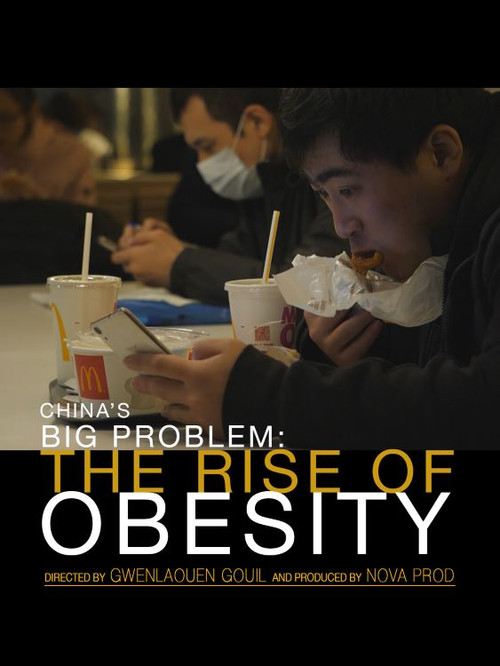 China's Big Problem: The Rise of Obesity (2018) poster
