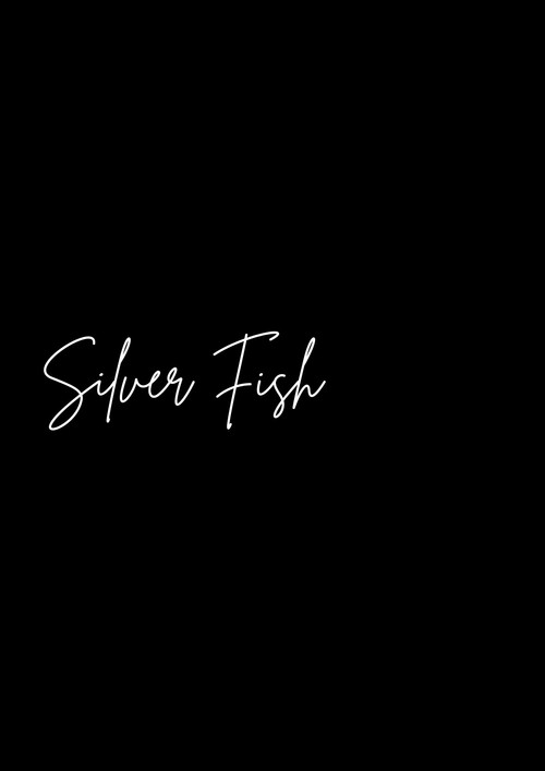 Silver Fish (2024) poster