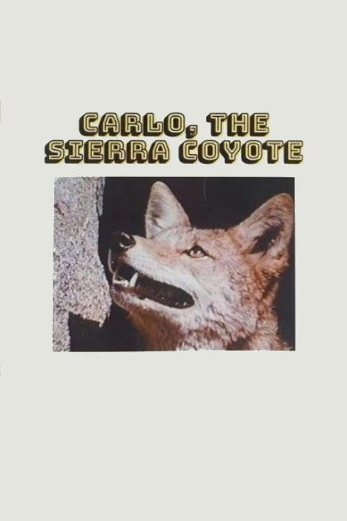 Carlo the Sierra Coyote (1974) poster