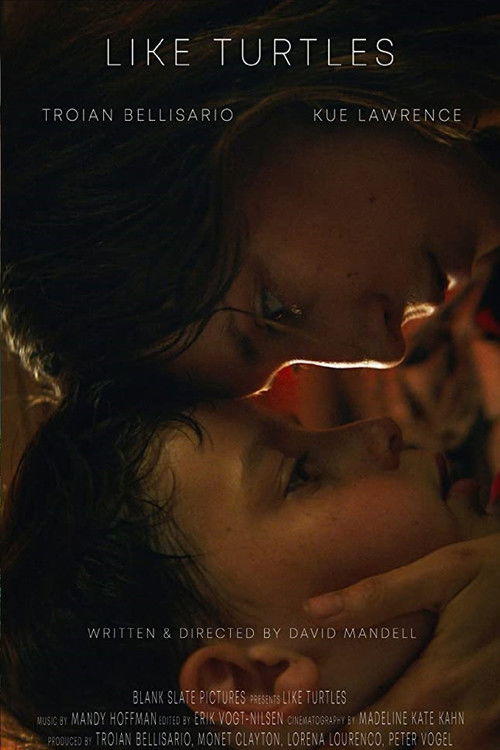 Like Turtles (2019) poster