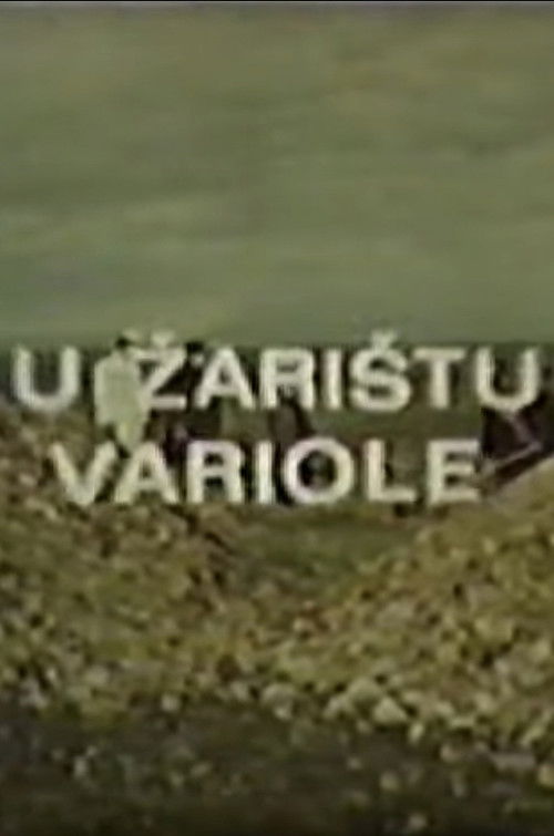 In the Hotspot of Variola (1972) poster