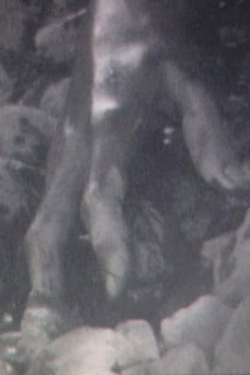 Broken Flesh Ecstasy (2005) poster