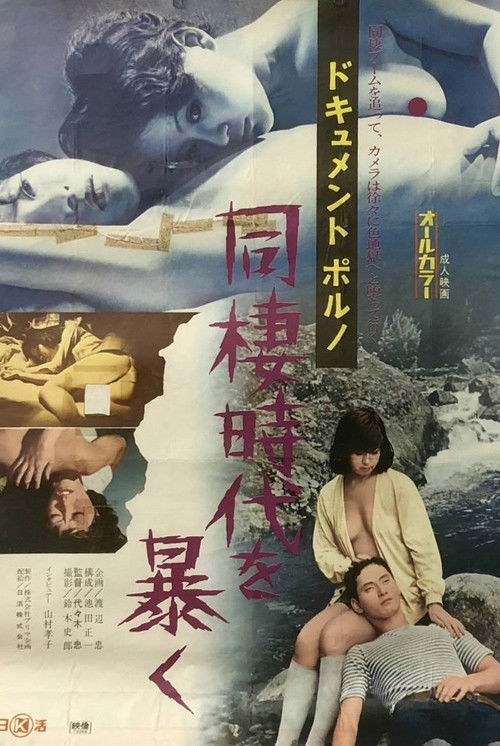 Document porno: Dôsei jidai o abaku (1973) poster