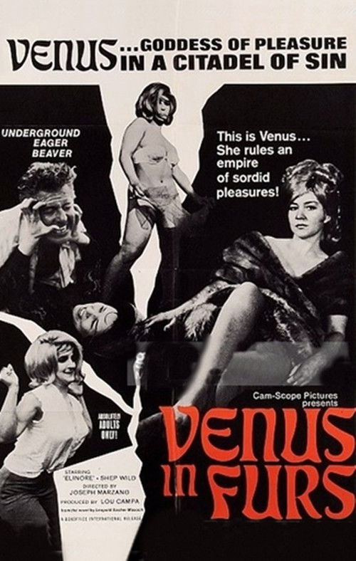 Venus in Furs (1967) poster