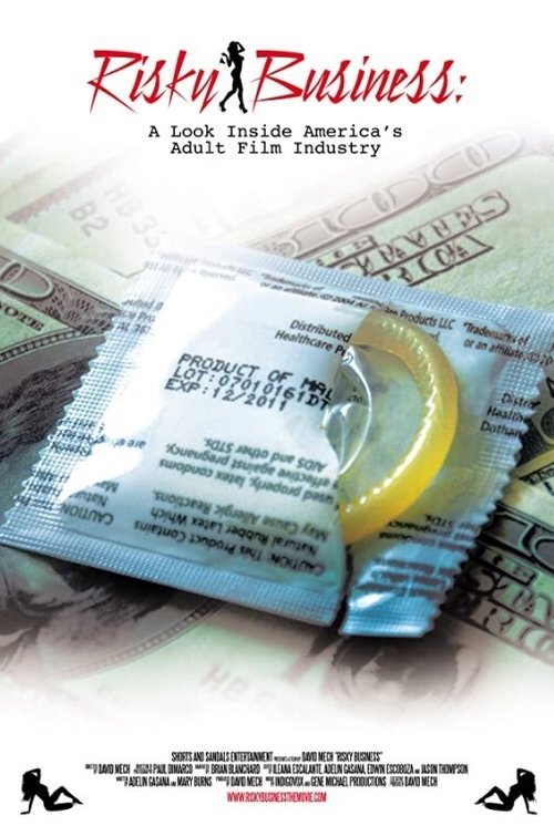 Risky Business: A Look Inside America's Adult Film Industry (2013) poster